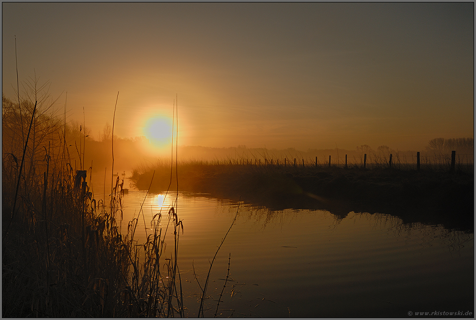 Sonnenaufgang... Saarner Auen *Mühlheim*