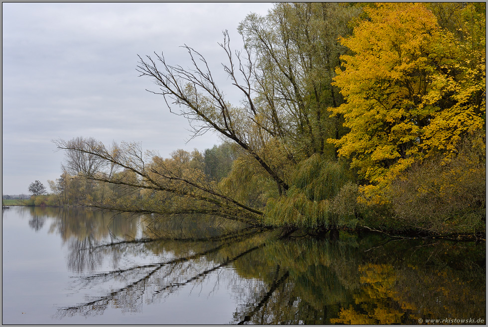 Herbstfarben... Bislicher Insel *Nordrhein-Westfalen*