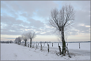 Lichtblicke und Schnee... Bislicher Insel *Nordrhein-Westfalen* im Winter