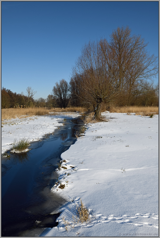 der Kringsgraben... Ilvericher Altrheinschlinge *Meerbusch* im Winter bei Eiseskälte, Schneelage und schönem Wetter