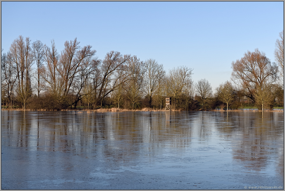 Hochwasser... Meerbusch *Ilvericher Altrheinschlinge* in der Issel, gegenüber dem Brockhof