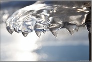 Bärentatze... Eisgebilde *Winterhochwasser 2020/2021* geformt aus Eis, Wind und Wasser