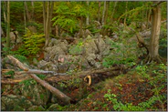 im Reich des Zwergenkönigs Alberich... Felsenmeer *Sauerland*